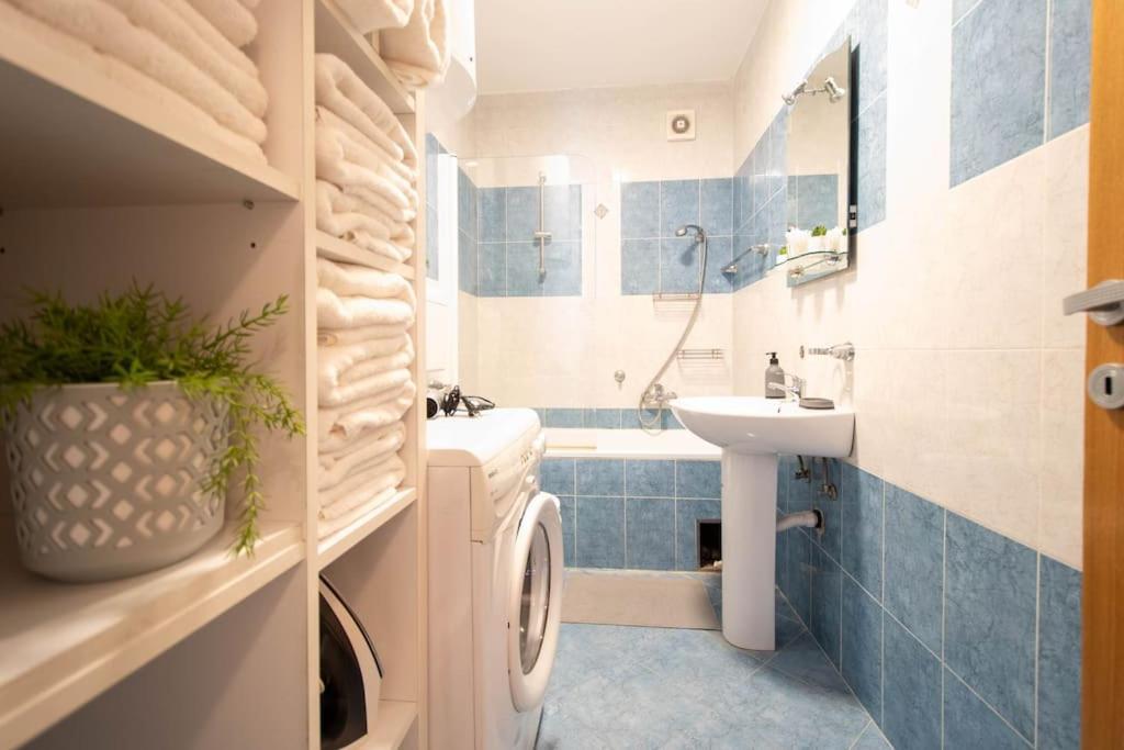 Lägenhet Augusta - Central, Spacious With Easy Parking Option Novi Sad