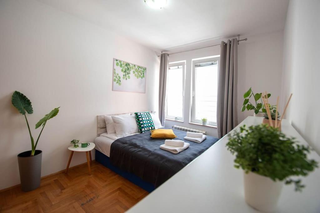 Augusta - Central, Spacious With Easy Parking Option Novi Sad